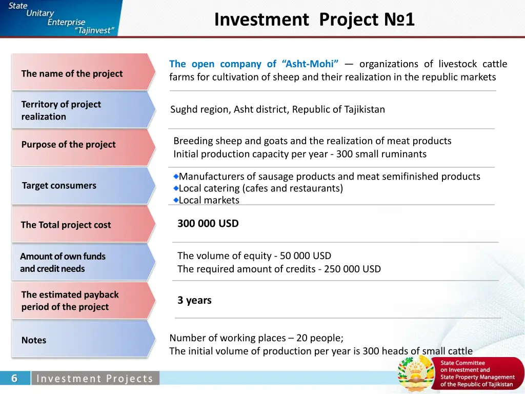 investment project 1