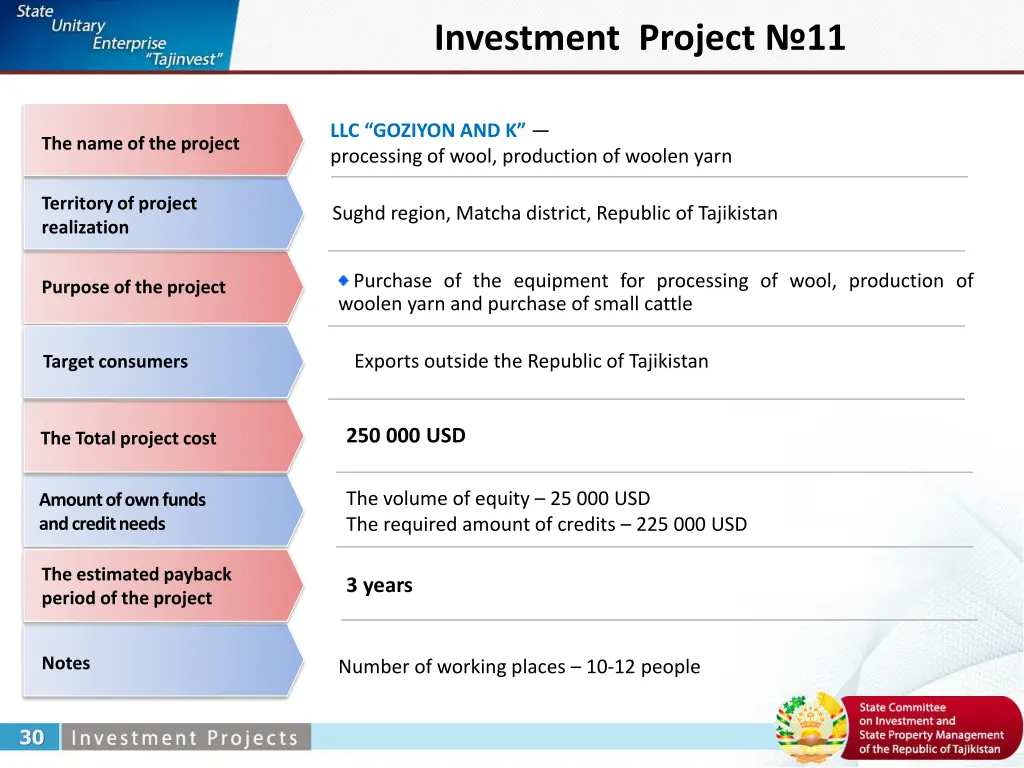 investment project 11