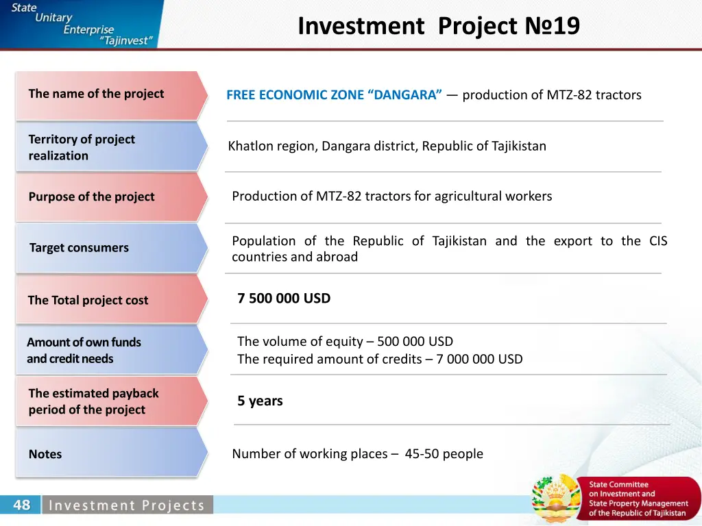 investment project 19