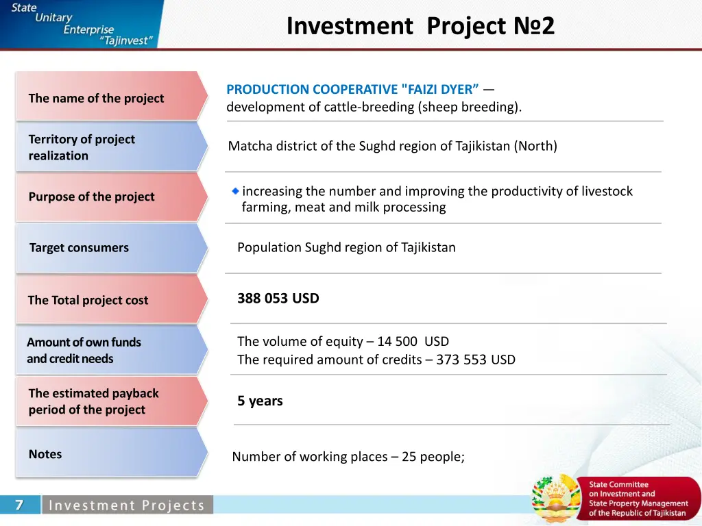investment project 2