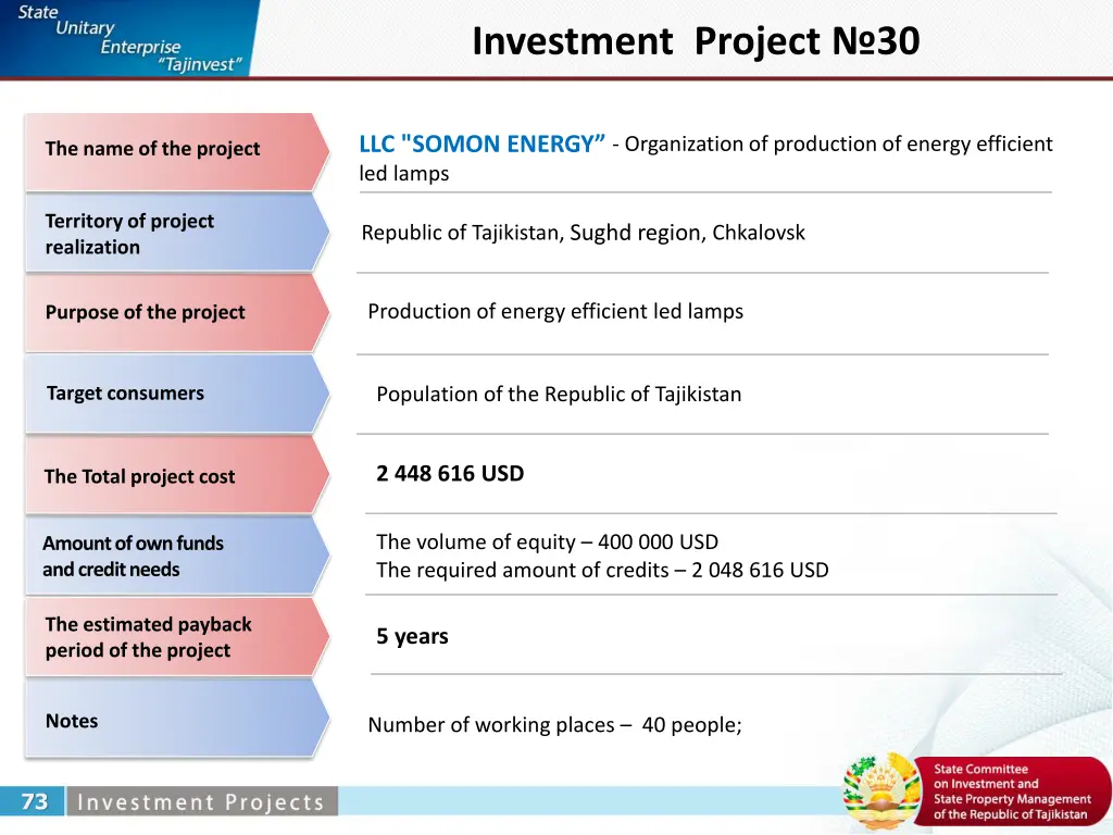 investment project 30
