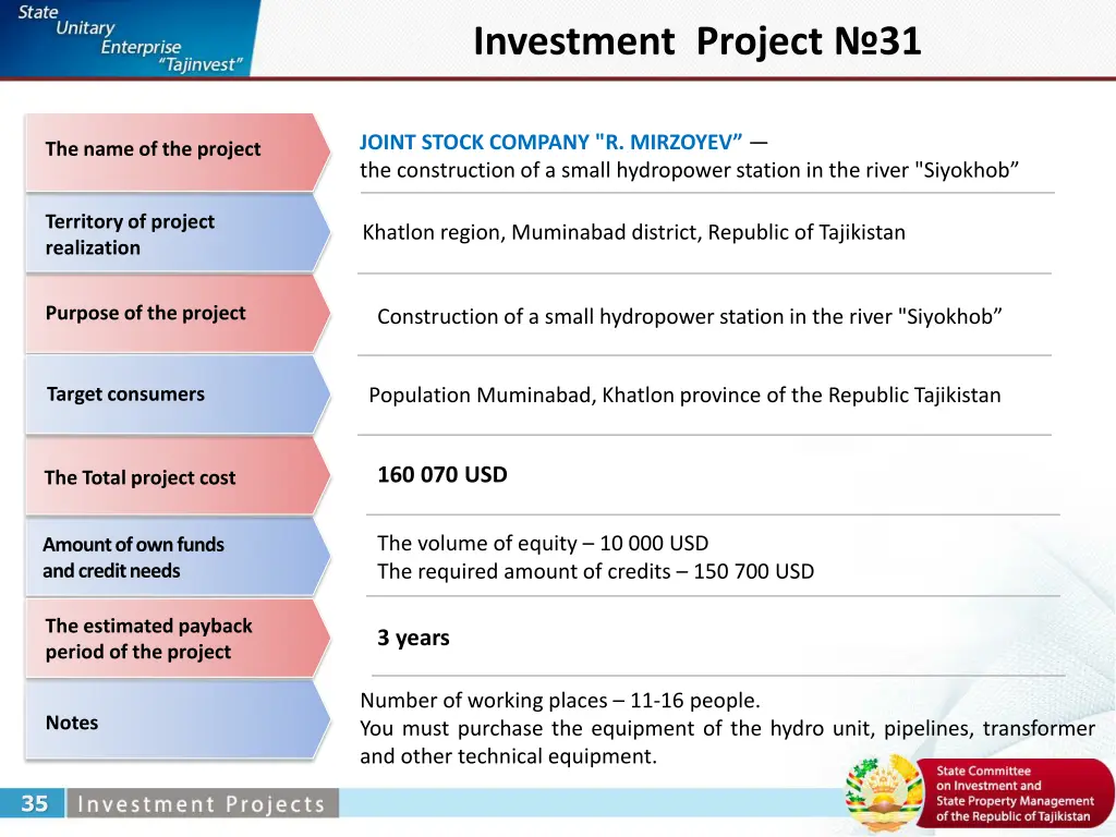 investment project 31