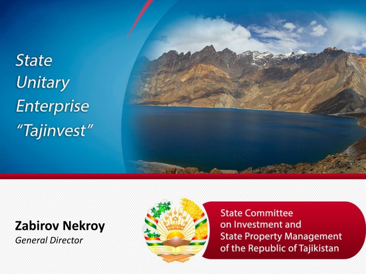 zabirov nekroy general director