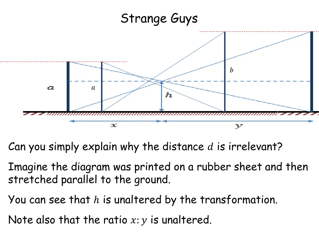 strange guys 6