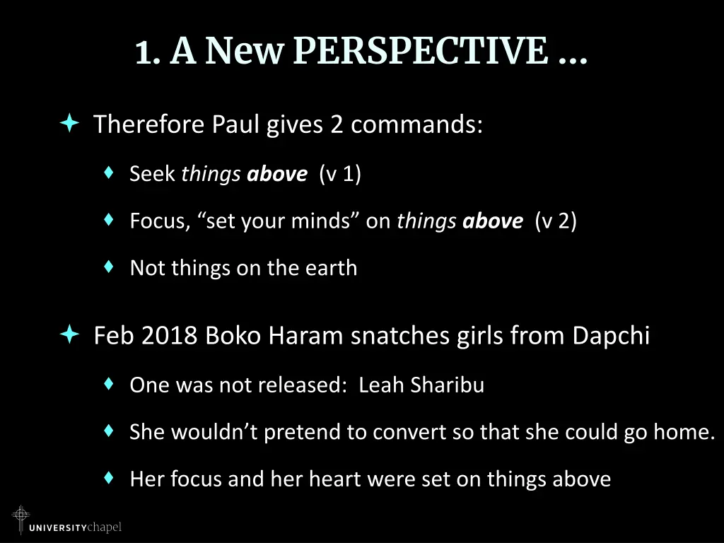 1 a new perspective 4