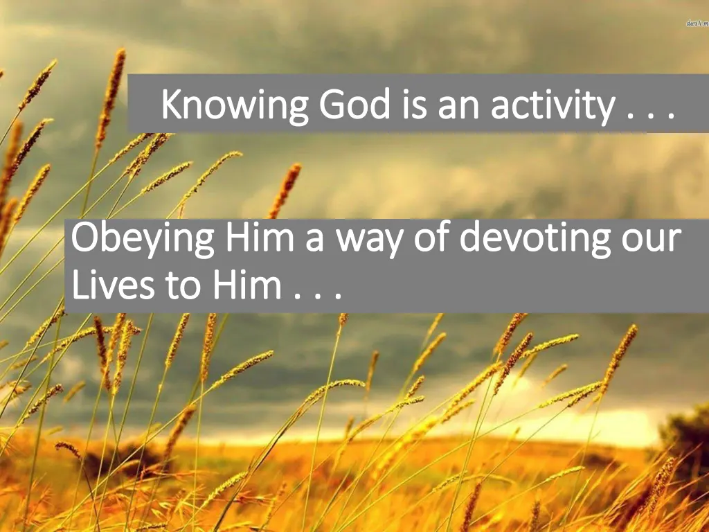 knowing god is an activity knowing