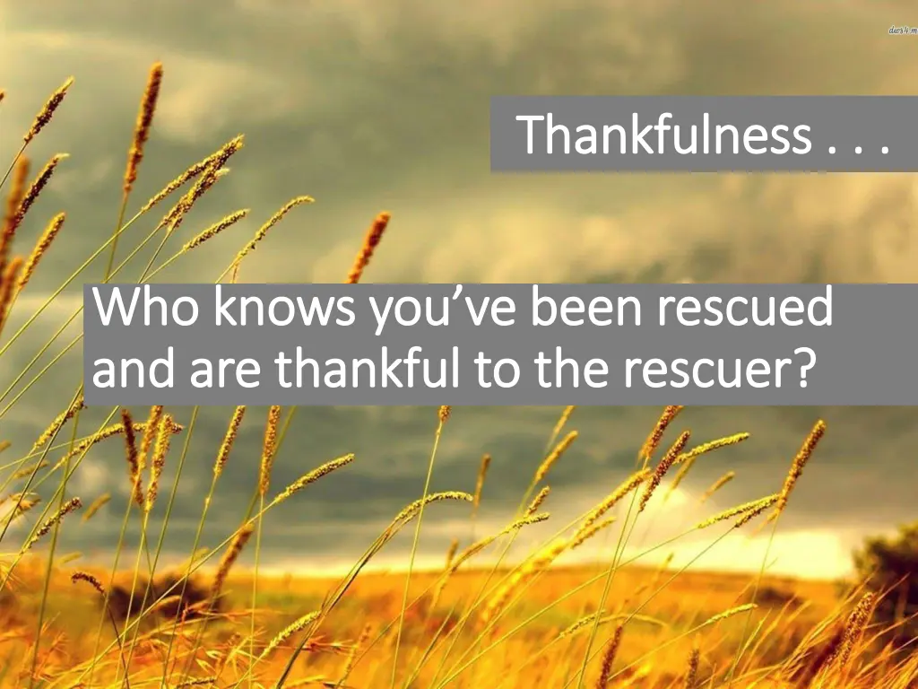 thankfulness thankfulness 1