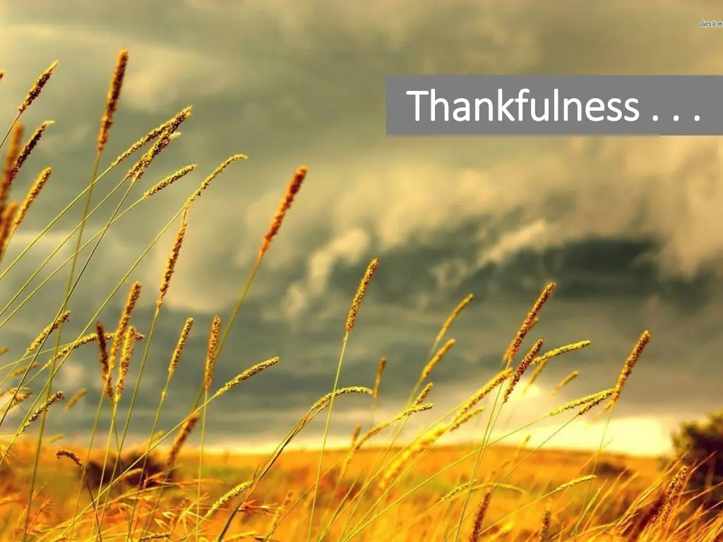thankfulness thankfulness
