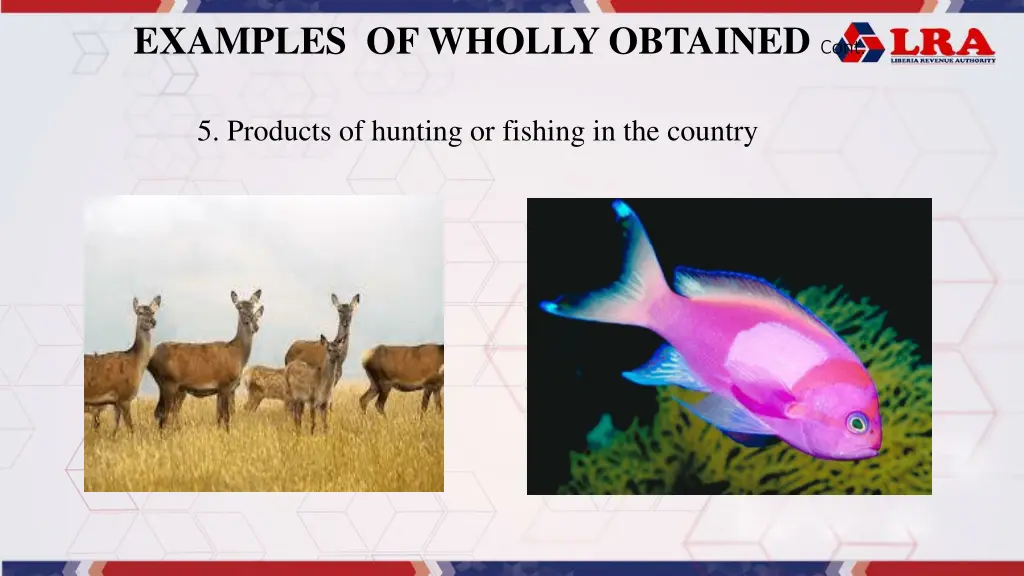 examples of wholly obtained cont 3