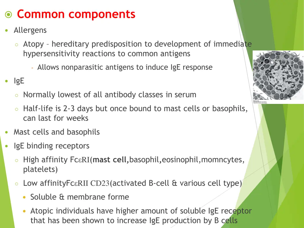 common components