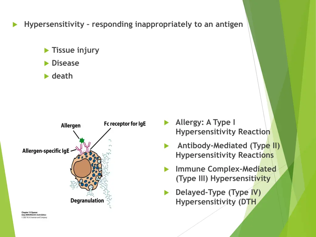 hypersensitivity responding inappropriately