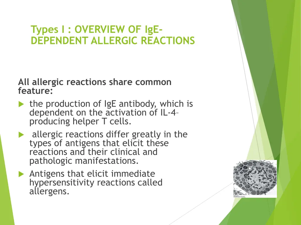 types i overview of ige dependent allergic