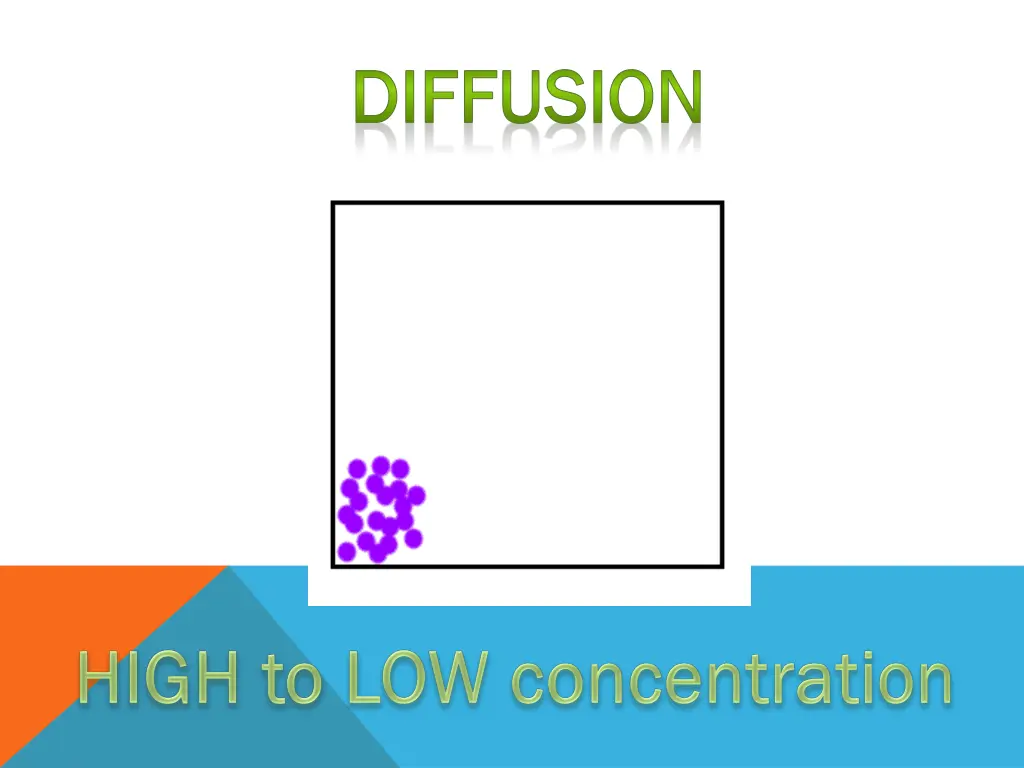 diffusion diffusion