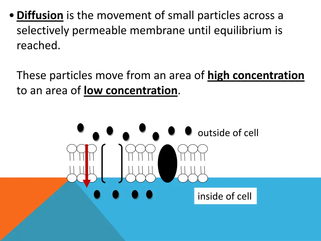diffusion is the movement of small particles