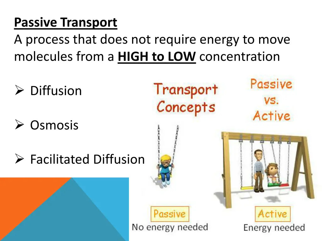 passive transport a process that does not require