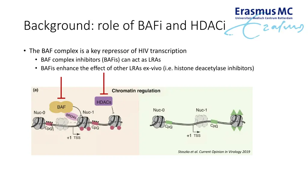 background role of bafi and hdaci