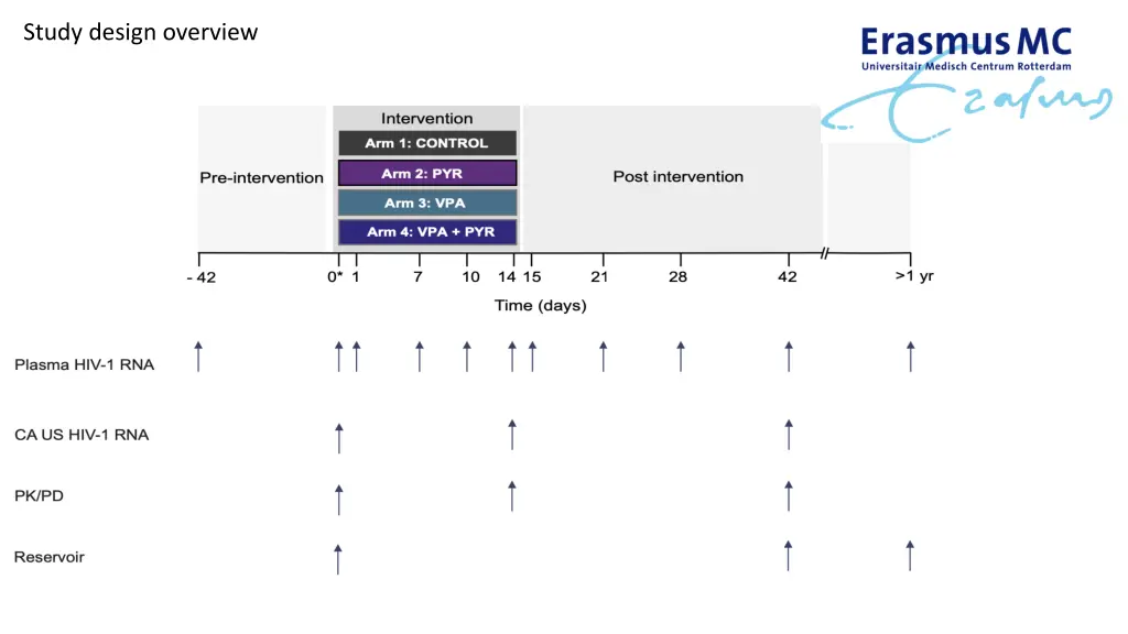 study design overview