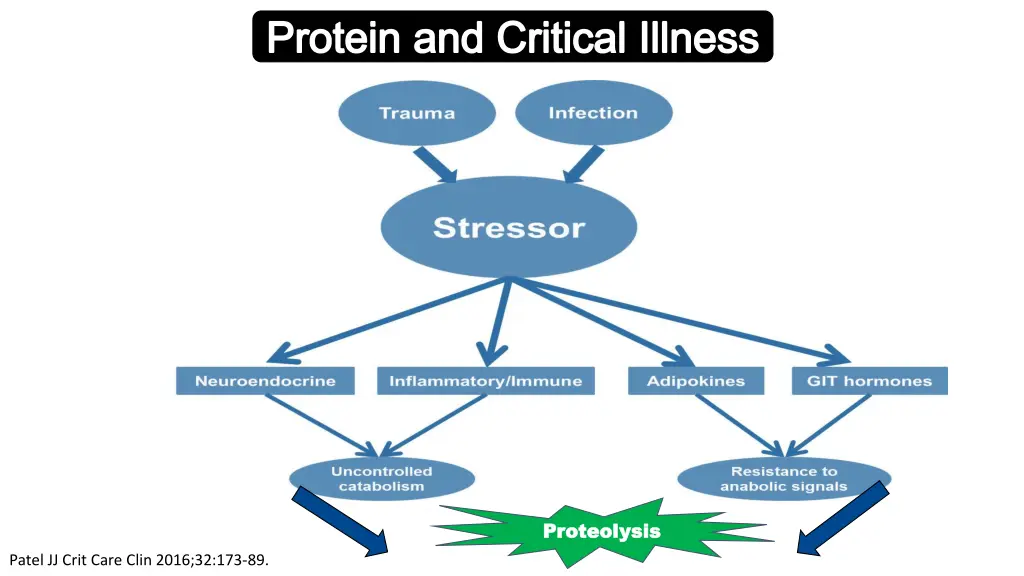 protein and critical illness