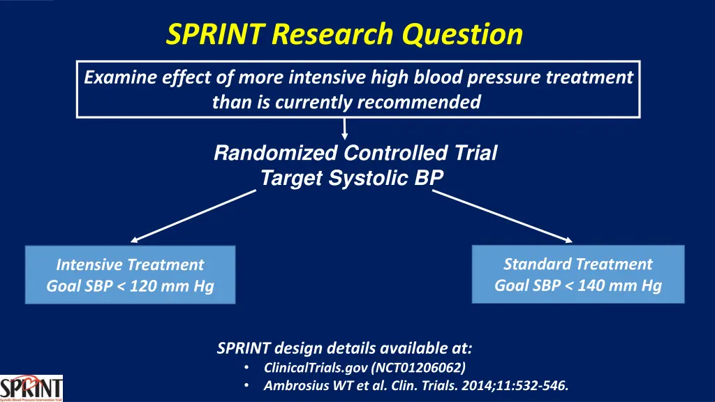 sprint research question