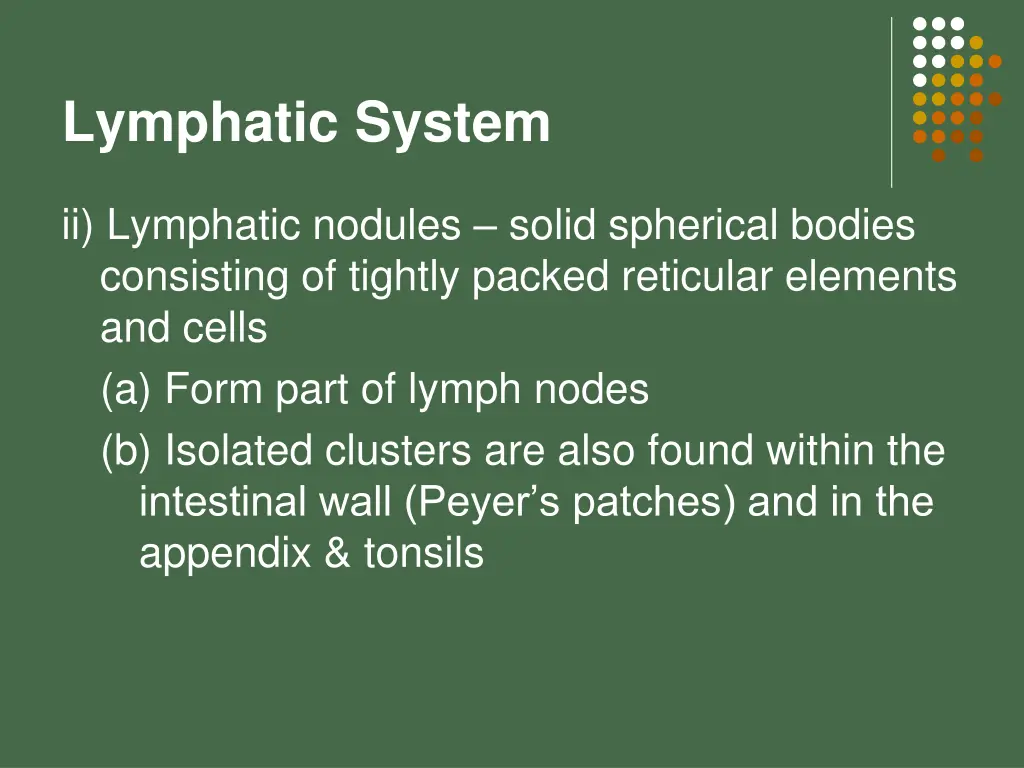 lymphatic system 12