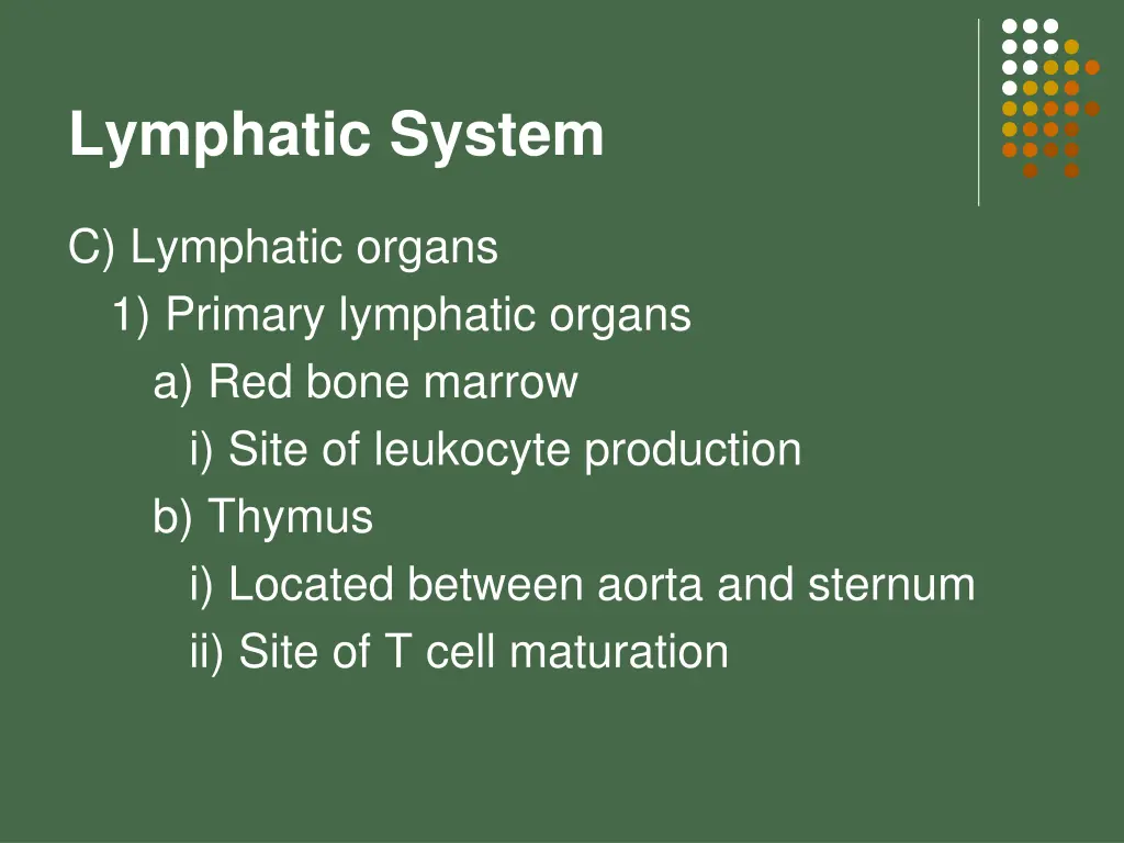 lymphatic system 13