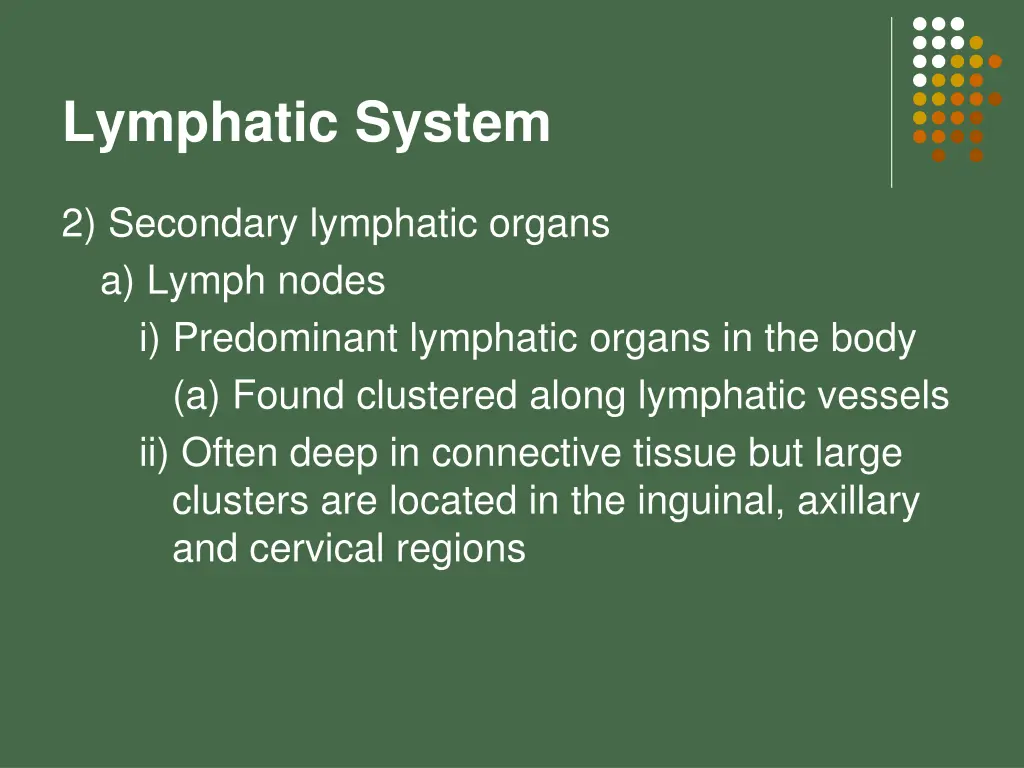 lymphatic system 14