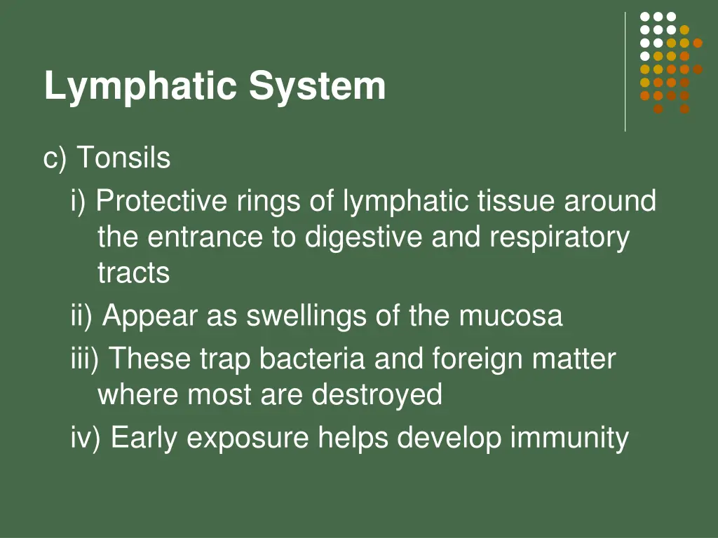 lymphatic system 18