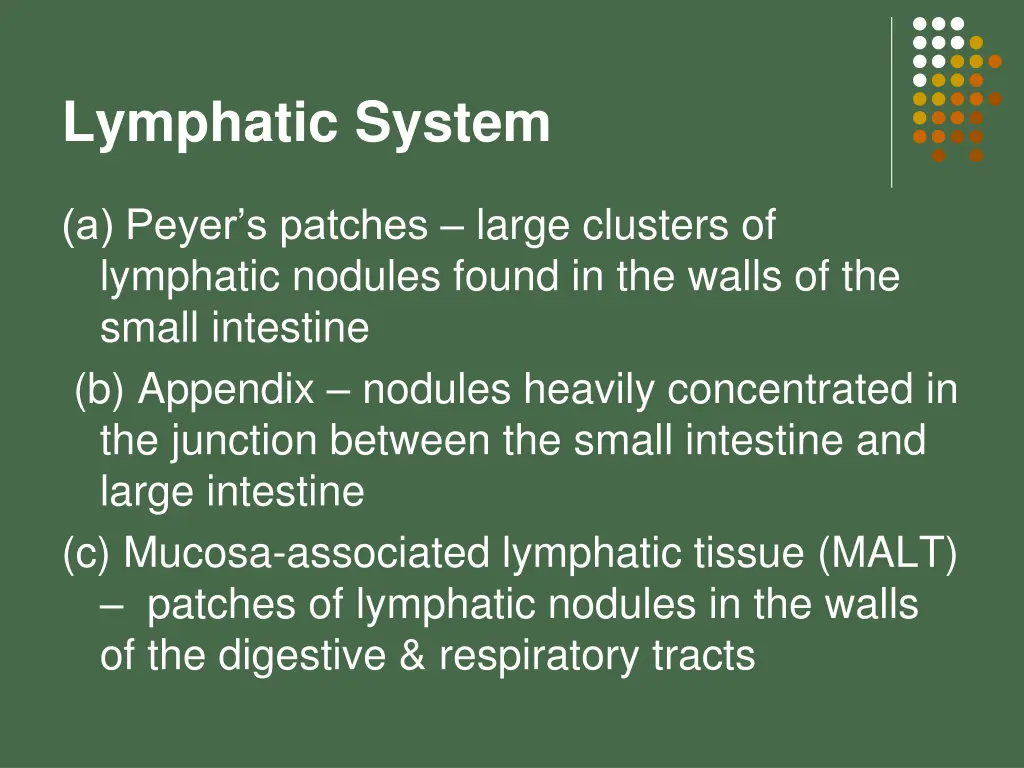 lymphatic system 22