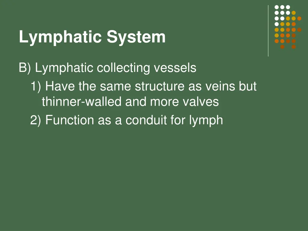 lymphatic system 3