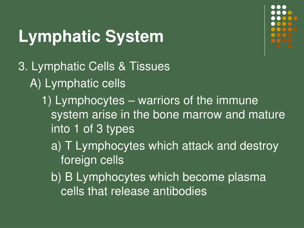 lymphatic system 8