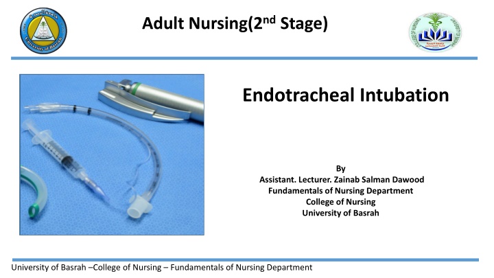 adult nursing 2 nd stage