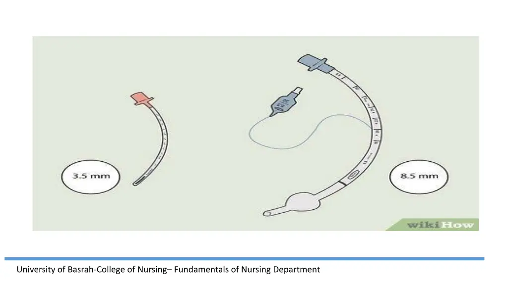 university of basrah college of nursing 1