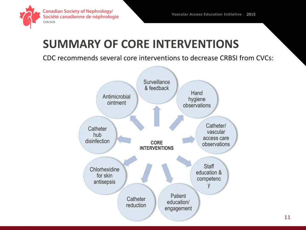 vascular access education initiative 2015 10