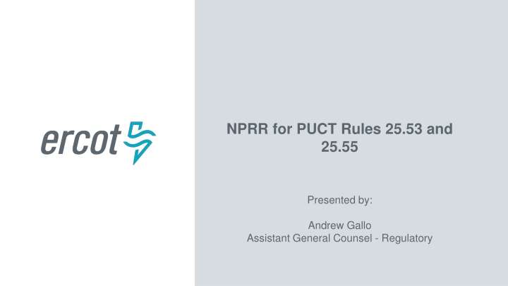 nprr for puct rules 25 53 and 25 55