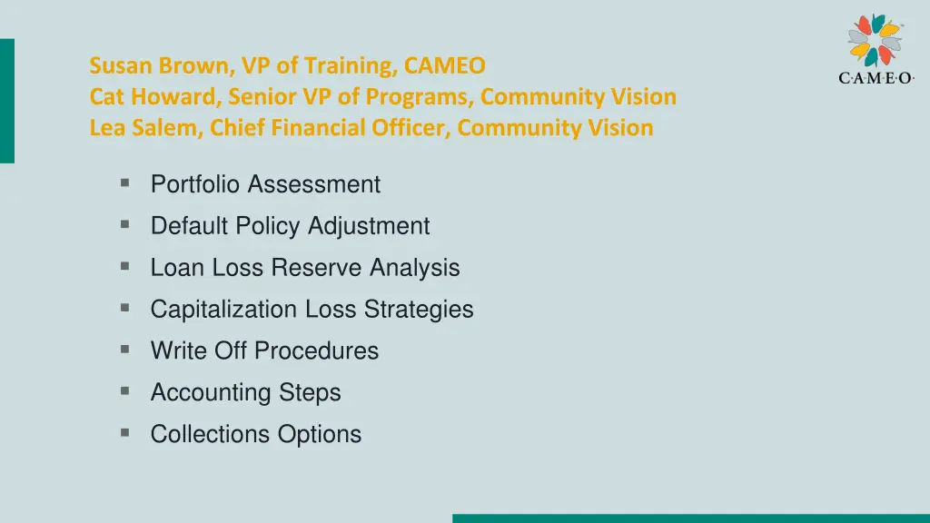 susan brown vp of training cameo cat howard