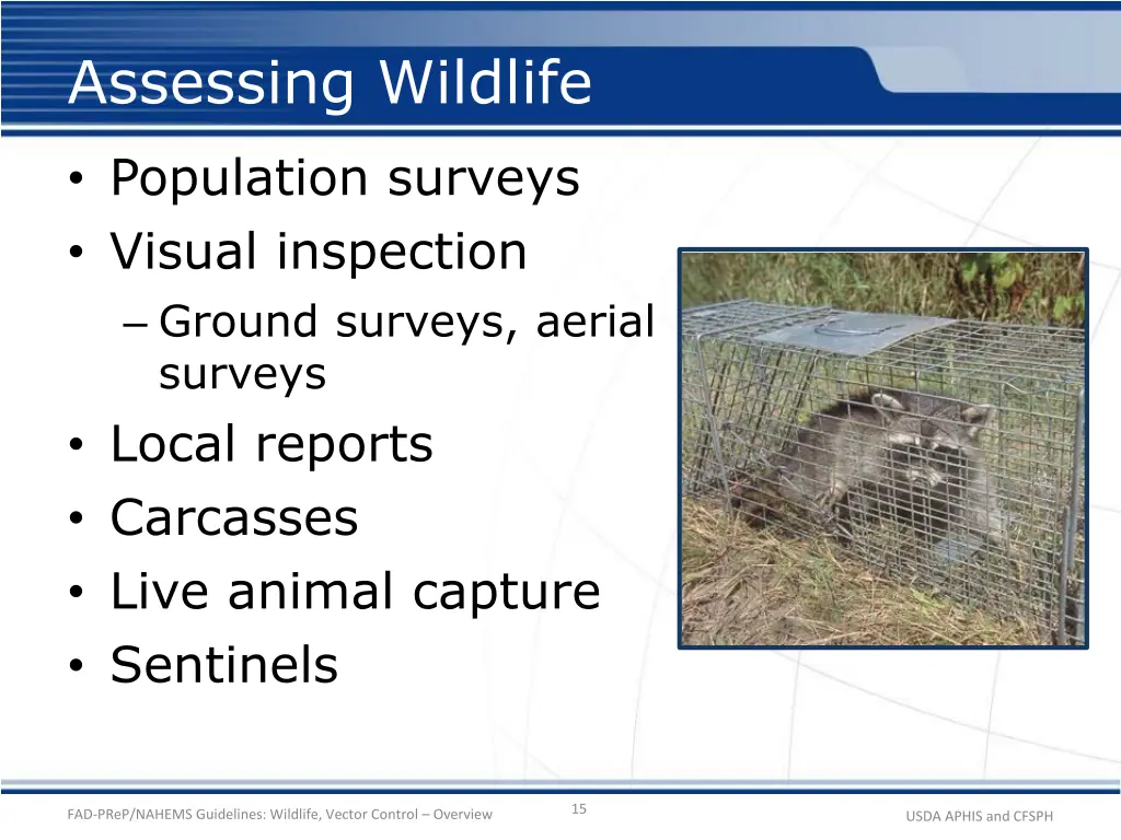 assessing wildlife
