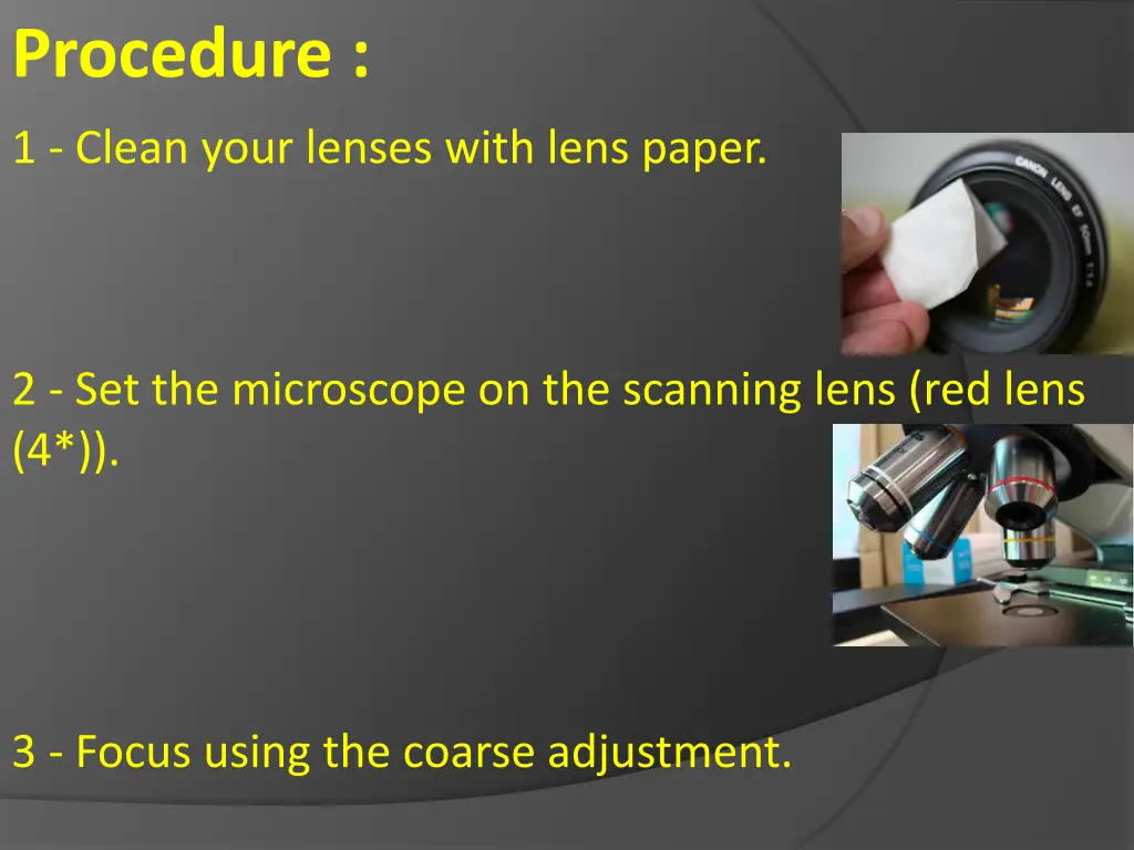 procedure