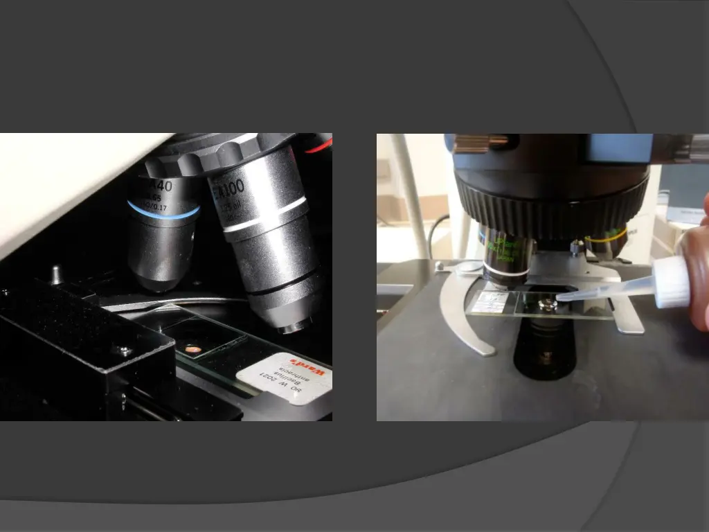 slide10