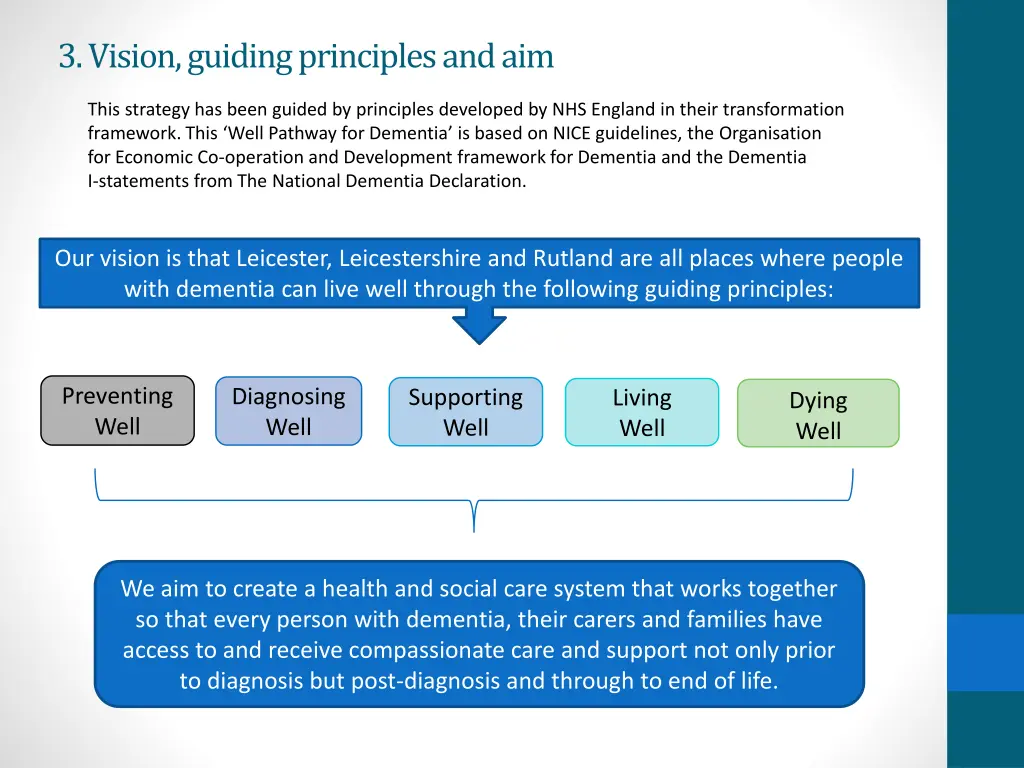 3 vision guiding principles and aim