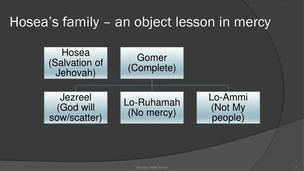 hosea s family an object lesson in mercy