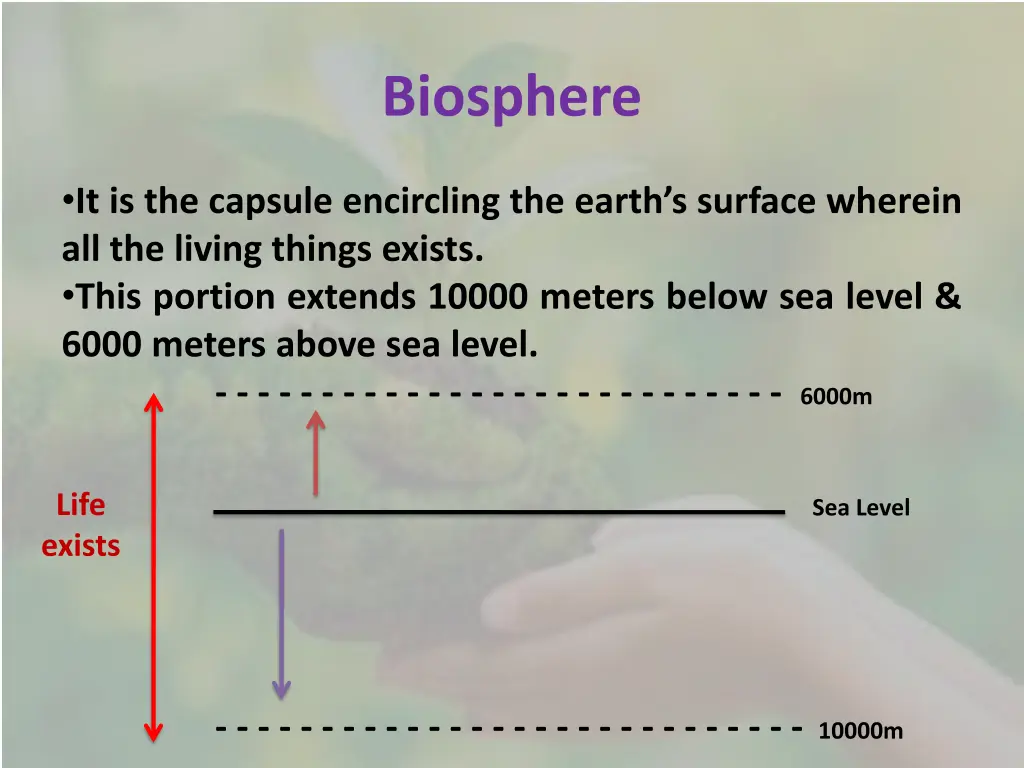 biosphere 1