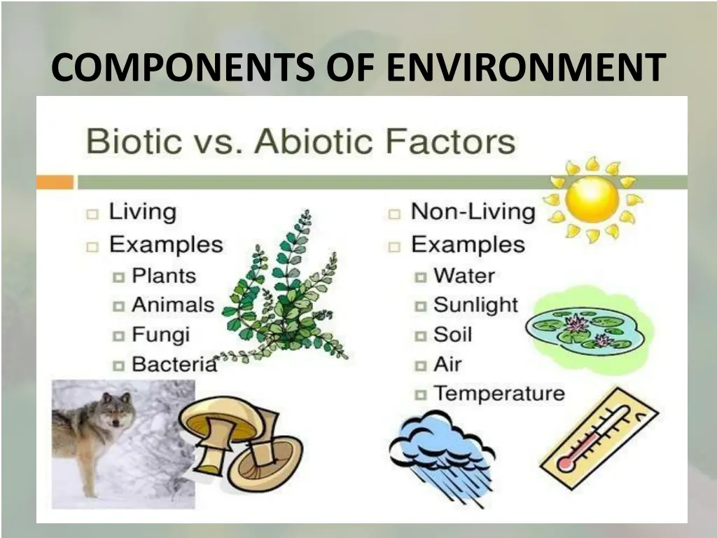 components of environment 1