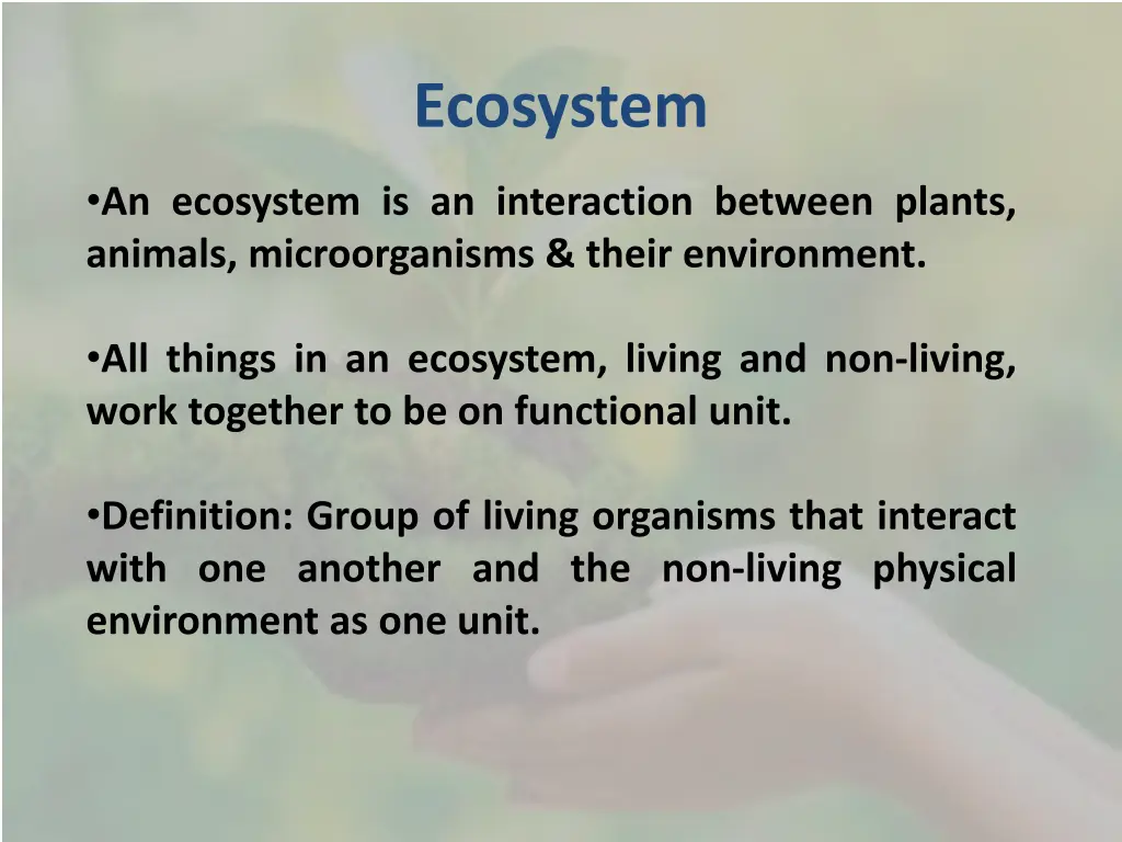 ecosystem 1