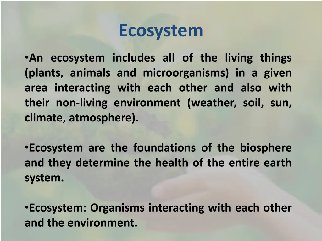 ecosystem
