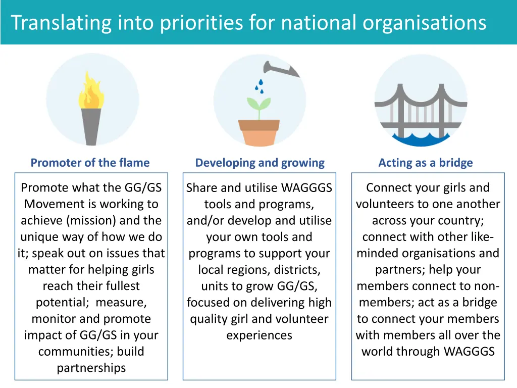 translating into priorities for national