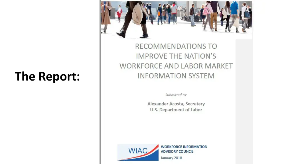 the report