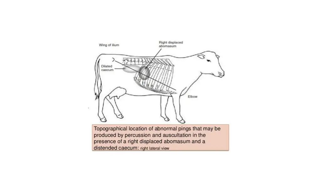slide34