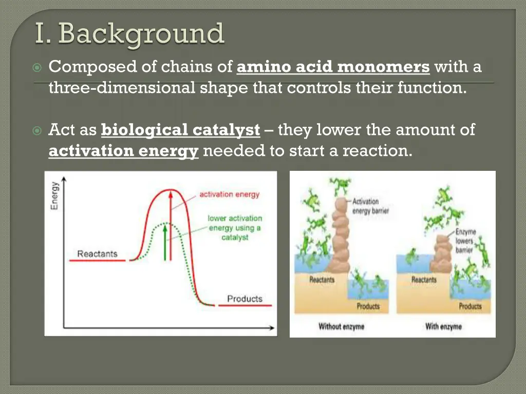 composed of chains of amino acid monomers with