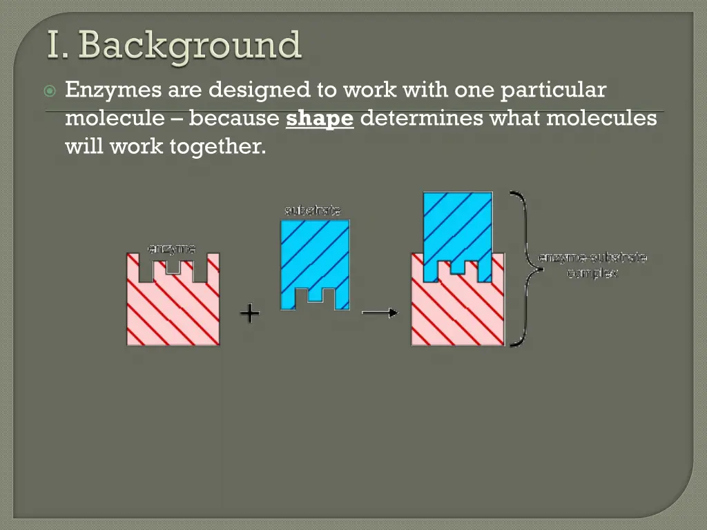 enzymes are designed to work with one particular