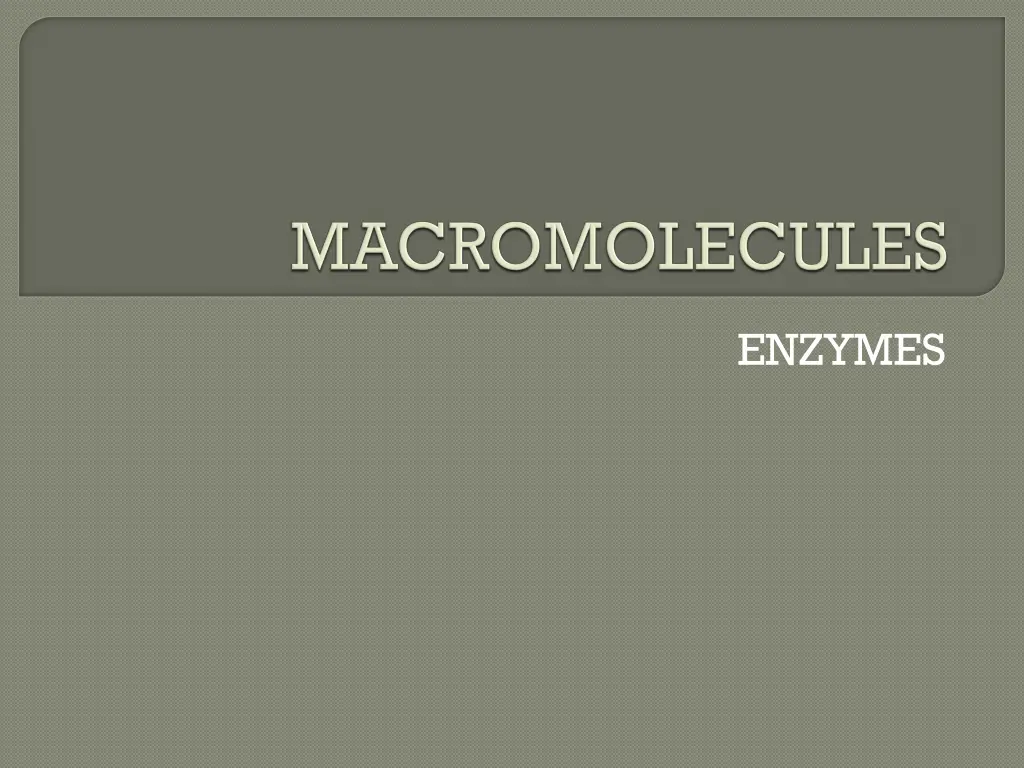enzymes